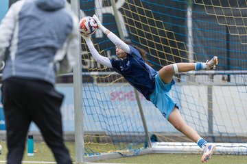 Bild 108 - wBJ Hamburger SV - FC Suederelbe : Ergebnis: 9:0
